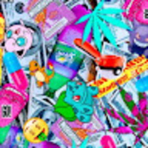 Meet your Posher, Bo